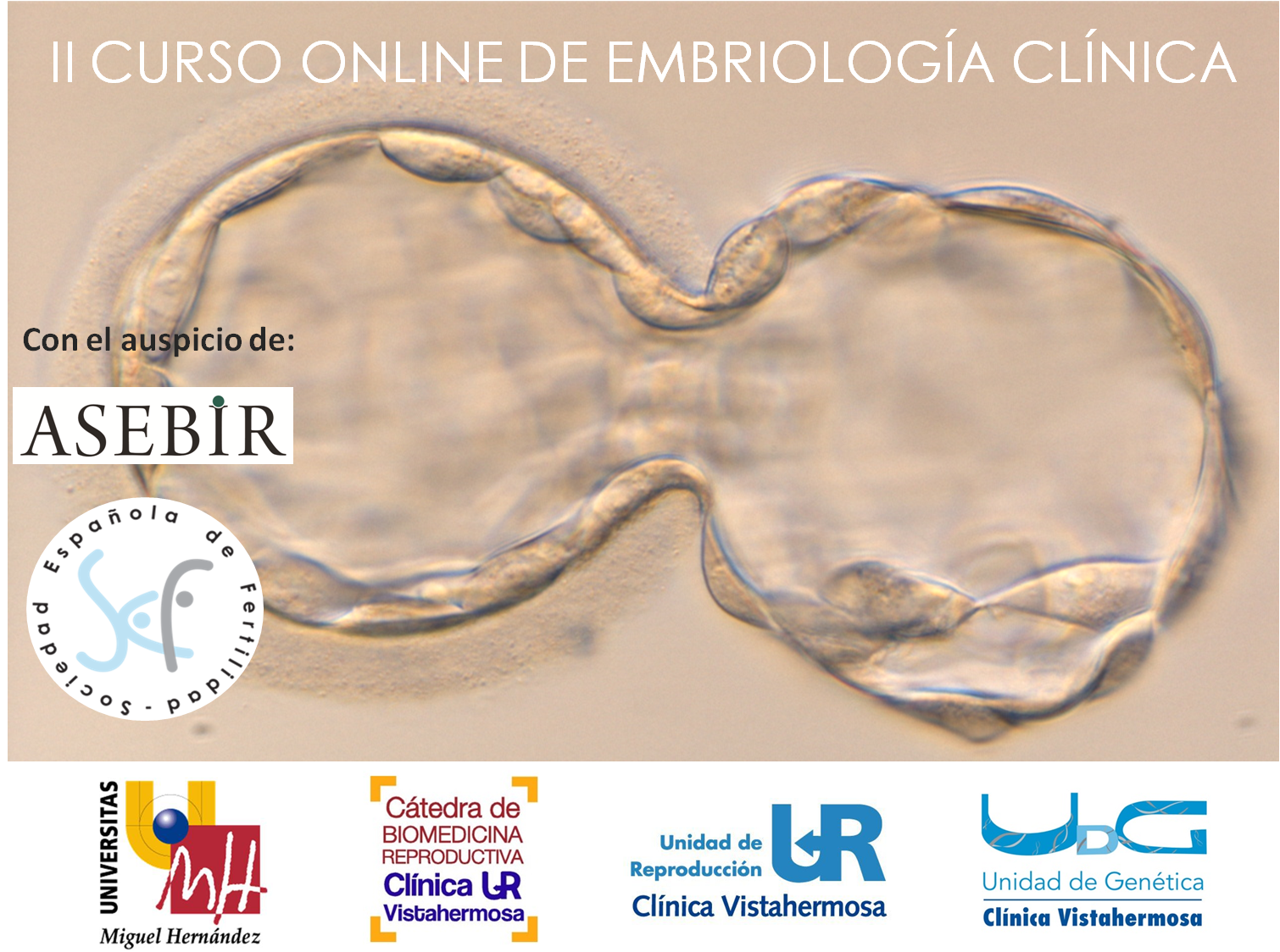 Embriología clínica genx0003